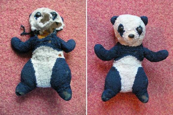 Restauration petit panda