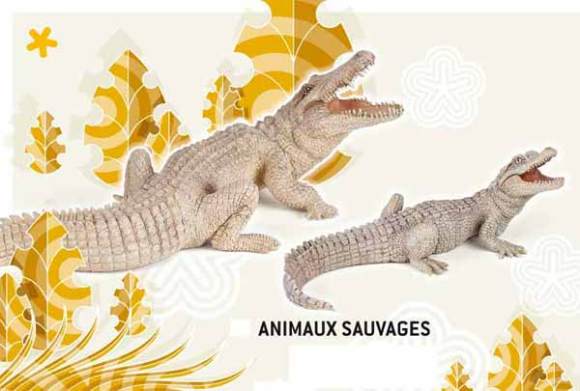 Animaux Sauvages Jungle Savane